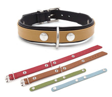 Laden Sie das Bild in den Galerie-Viewer, Change IT - Wechsel Hundehalsband in div. Designs