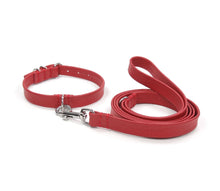 Laden Sie das Bild in den Galerie-Viewer, Ottos Puppy Set - Halsband & Leine im Set - für kleine Vierbeiner und Welpen