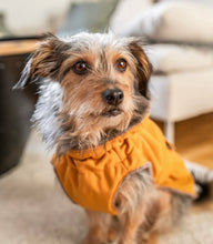 Laden Sie das Bild in den Galerie-Viewer, Mantel für Hunde mit Plüsch gefüttert - KvK Edition in div. Farben