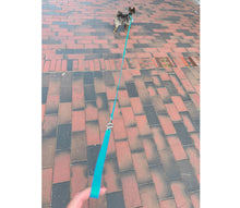 Laden Sie das Bild in den Galerie-Viewer, Puppy Double Leash - Koppelleine für kleine Vierbeiner und Welpen