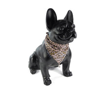 Laden Sie das Bild in den Galerie-Viewer, Cult Couture Scarf - Leopard, Camo, Star und andere Designs