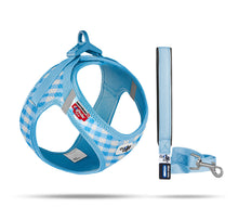 Laden Sie das Bild in den Galerie-Viewer, Welpen Harness Set mit Leine in zwei Farben