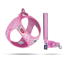 Laden Sie das Bild in den Galerie-Viewer, Welpen Harness Set mit Leine in zwei Farben