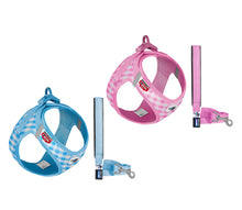 Laden Sie das Bild in den Galerie-Viewer, Welpen Harness Set mit Leine in zwei Farben