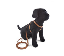 Laden Sie das Bild in den Galerie-Viewer, Puppy Harness Set - Geschirr & Leine im Set - für kleine Vierbeiner und Welpen