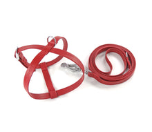 Laden Sie das Bild in den Galerie-Viewer, Puppy Harness Set - Geschirr & Leine im Set - für kleine Vierbeiner und Welpen