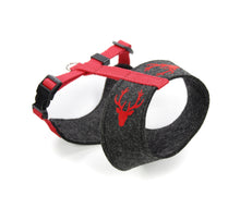 Laden Sie das Bild in den Galerie-Viewer, Handcrafted – Hundegeschirr aus Filz