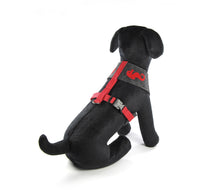 Laden Sie das Bild in den Galerie-Viewer, Handcrafted – Hundegeschirr aus Filz