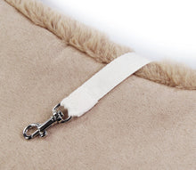 Laden Sie das Bild in den Galerie-Viewer, Kangaroo Bag Hundetasche in Beige