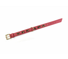 Laden Sie das Bild in den Galerie-Viewer, KvK Handcrafted - Straight Collar - Bicolour Leo