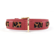 Laden Sie das Bild in den Galerie-Viewer, KvK Handcrafted - Straight Collar - Bicolour Leo