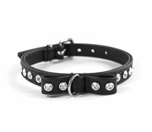 Laden Sie das Bild in den Galerie-Viewer, Handcrafted - Halsband Loop Bling Exklusive