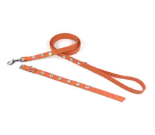 Laden Sie das Bild in den Galerie-Viewer, Ottos Puppy Set - Halsband & Leine im Set - für kleine Vierbeiner und Welpen