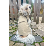 Laden Sie das Bild in den Galerie-Viewer, Regenmantel für Hunde - KvK Edition Camo & weitere Farben