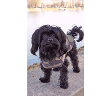Laden Sie das Bild in den Galerie-Viewer, Regenmantel für Hunde - KvK Edition Camo & weitere Farben