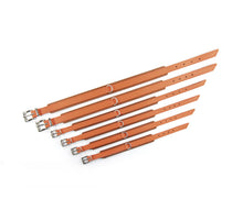 Laden Sie das Bild in den Galerie-Viewer, KvK Klassik Halsband Curved - French Orange Edition
