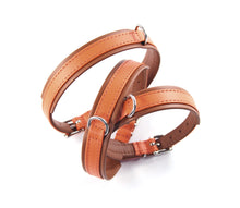 Laden Sie das Bild in den Galerie-Viewer, KvK Klassik Halsband Curved - French Orange Edition
