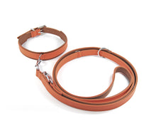 Laden Sie das Bild in den Galerie-Viewer, KvK Klassik Halsband Curved - French Orange Edition
