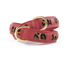 Laden Sie das Bild in den Galerie-Viewer, KvK Handcrafted - Straight Collar - Bicolour Leo
