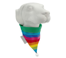 Laden Sie das Bild in den Galerie-Viewer, Cult Couture Scarf - Rainbow
