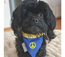 Laden Sie das Bild in den Galerie-Viewer, Cult Couture Scarf - Peace
