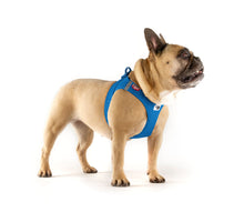 Laden Sie das Bild in den Galerie-Viewer, Vest Harness Air-Mesh in div. Farben
