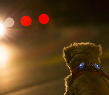 Laden Sie das Bild in den Galerie-Viewer, Luumi - LED Sicherheitslichter
